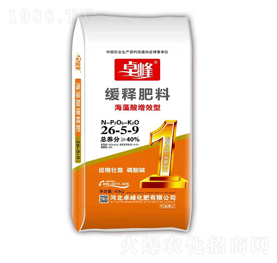 ��������Ч�;�ጷ���26-5-9-׿��