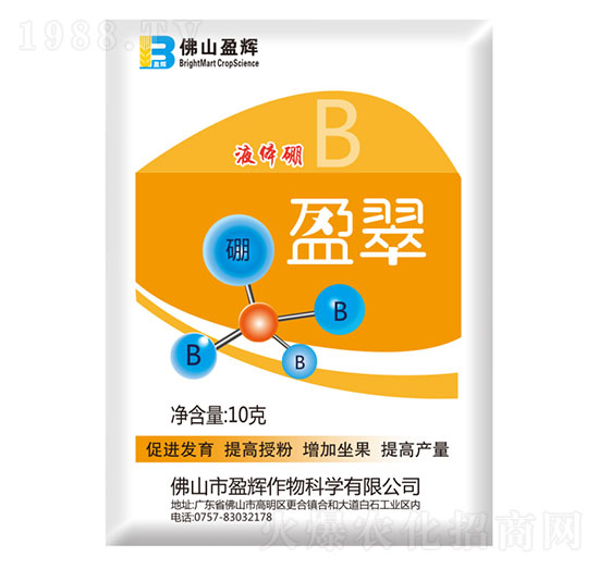 10g���w��-ӯ��-ӯ�x