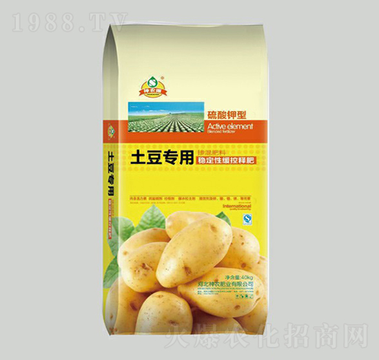 �������Ó������-���r�ʘI(y��)