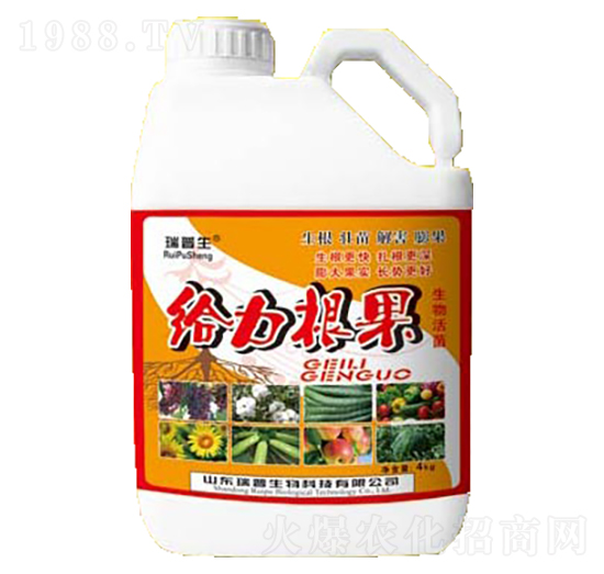 �o������-��������