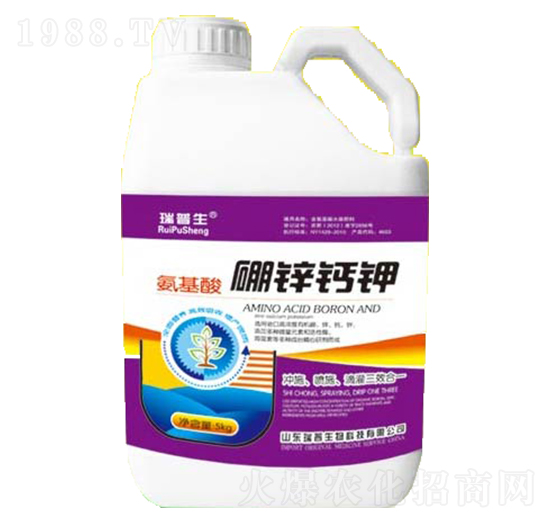 5kg���������\�}�-��������