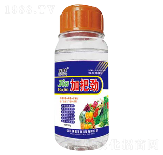 �Ӱф�-��������