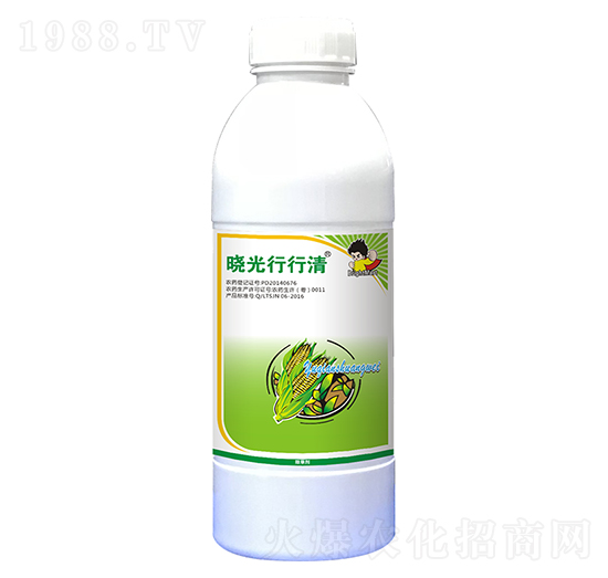 �Թ�������-ӯ�x