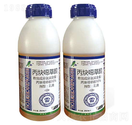 10%��Ȳ�f��ͪ-��-����