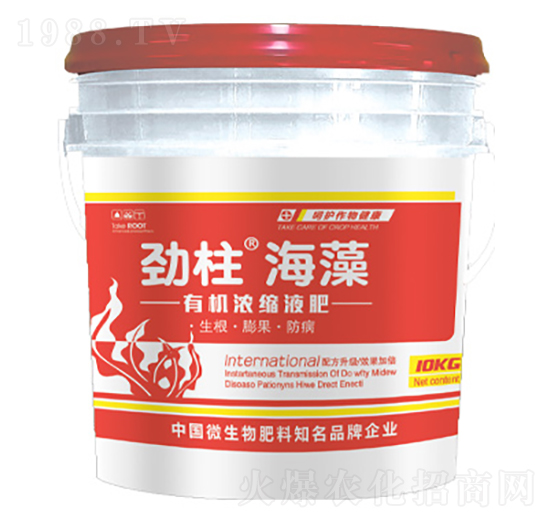 �ЙC��sҺ��-����������-형r�