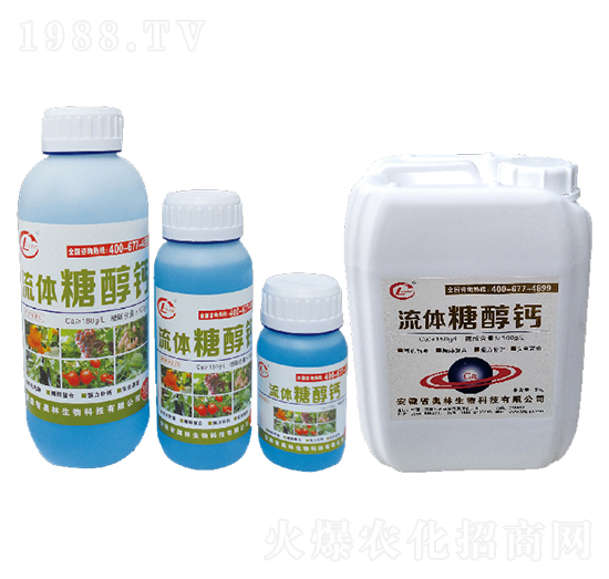 ���w�Ǵ��}-�W������