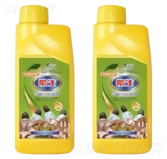 ���������p�����ã�-ʩ����-ԣ��߿�