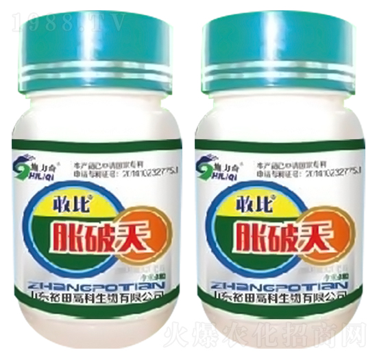 Û����-�ұ�-ԣ��߿�