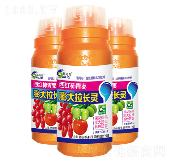 ���t������������L�`-ʩ����-ԣ��߿�