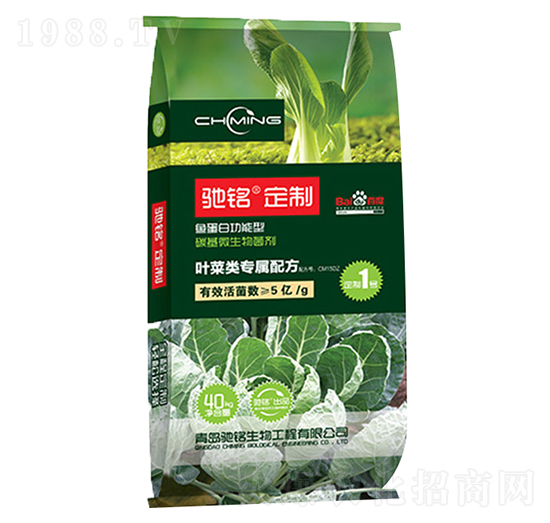 �~�ˌ��÷�-�Y�����