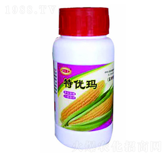 �؃�(y��u)�����׌�(zhu��n)����-������