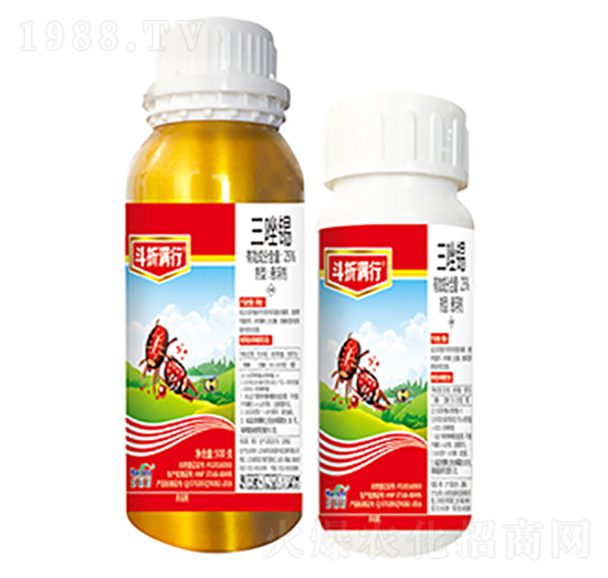 25%�����a-���۝M��-����������