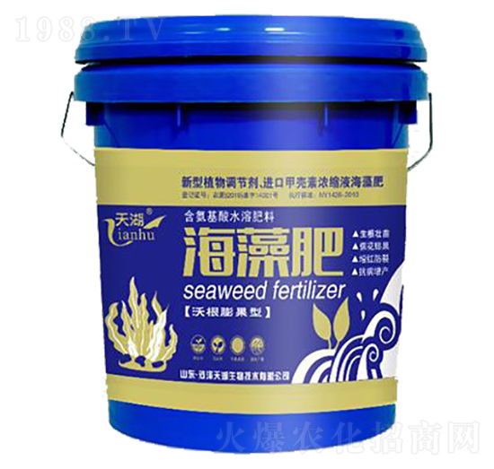 ����ʣ��ָ�����ͣ�-���