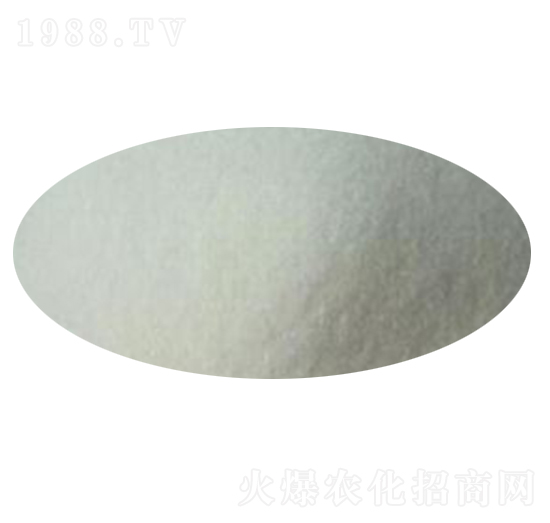 ����һ�@-׿��