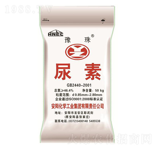 ����-ԥ��ʘI(y��)