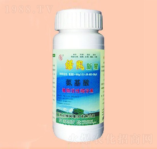 �������~���-�G�L����-�G�L�ʘI(y��)