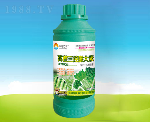 �n�����������-�ĺ��R�r(n��ng)