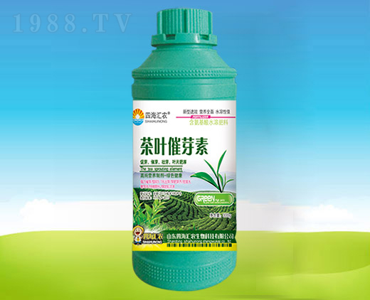 ���~��ѿ��-�ĺ��R�r