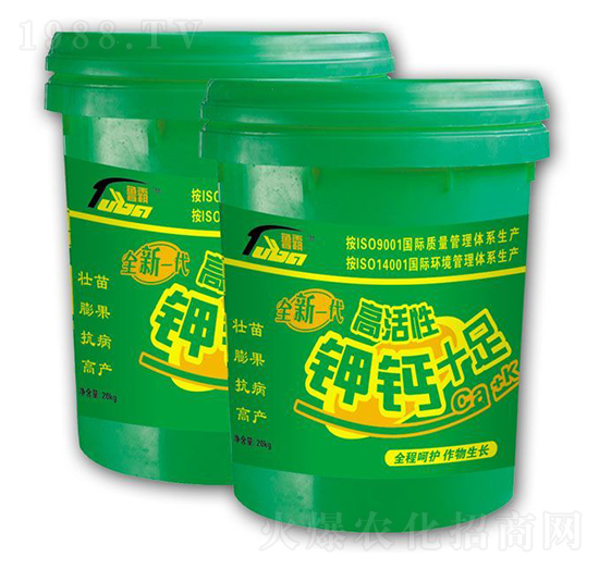 ��}ʮ��-��������