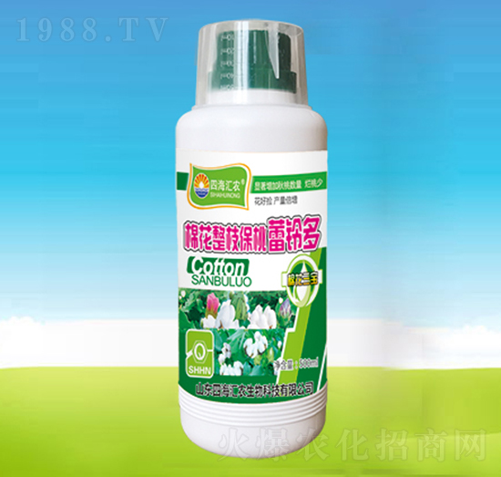 �޻���֦������⏶�-�ĺ��R�r(n��ng)