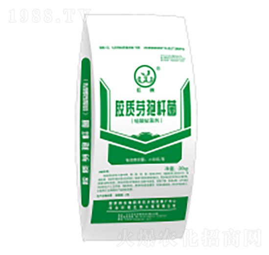 �z�|ѿ�ߗU���ۄ�-��΢����