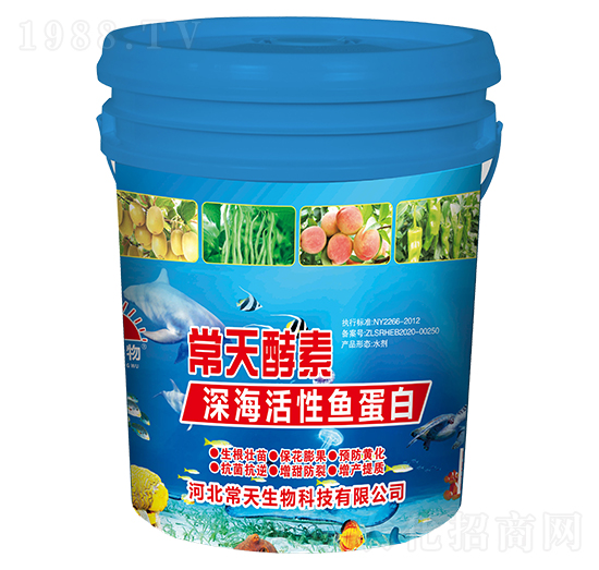 ��������~����-�������-��������