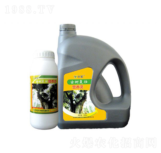 �Ř��(f��)�ѠI�B(y��ng)�`-����-�ƺ�(li��n)��