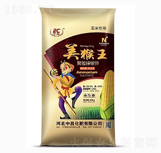 �����\�@�-������-�в�����