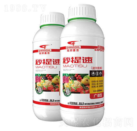 �V�V��-�����٣���Ч�����-��μ�