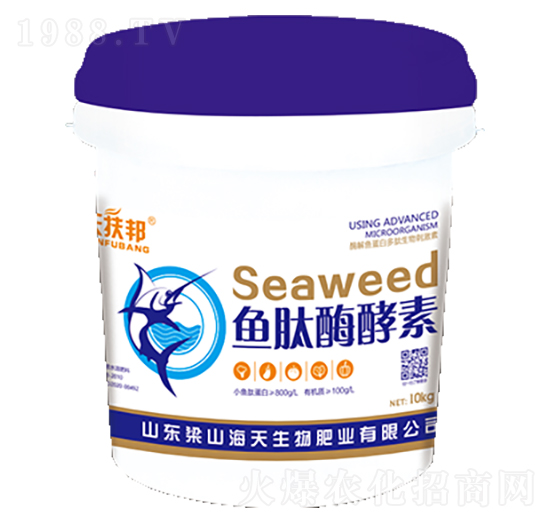 �~��ø����-��������