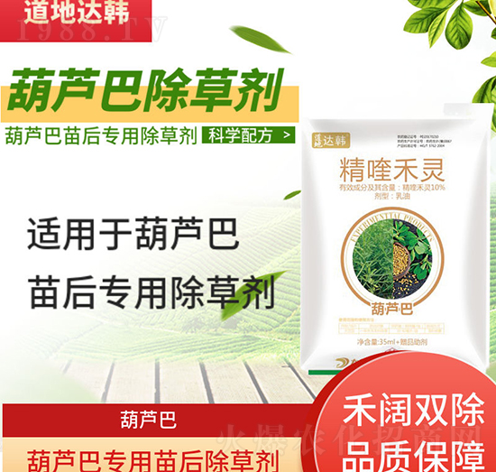 ���J�ͳ��݄�-���J�����-���J�͌�(zhu��n)��-���n