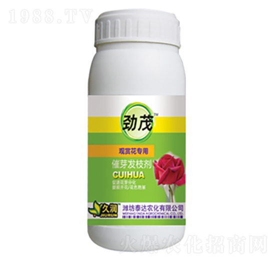 �^�p����(zhu��n)��-��ѿ�l(f��)֦��-̩�_(d��)�r(n��ng)��