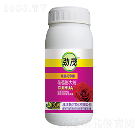 �^�p������-�������-̩�_�r(n��ng)��