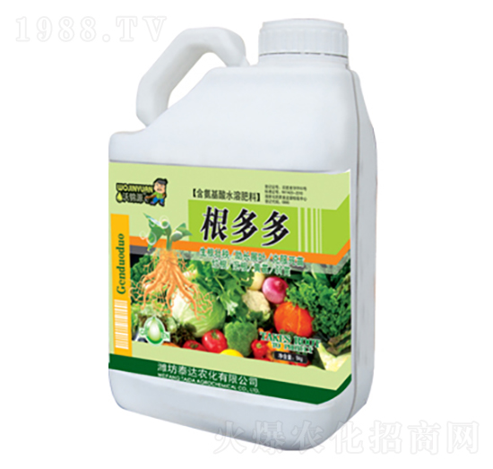 ����ࣨ�GͰ��-̩�_�r(n��ng)��