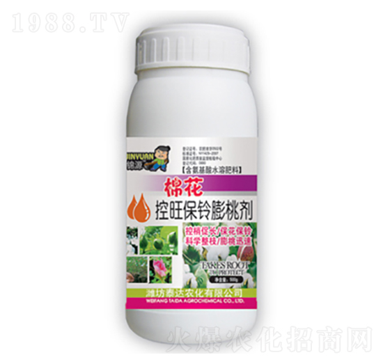 �޻�����������҄�-̩�_(d��)�r(n��ng)��