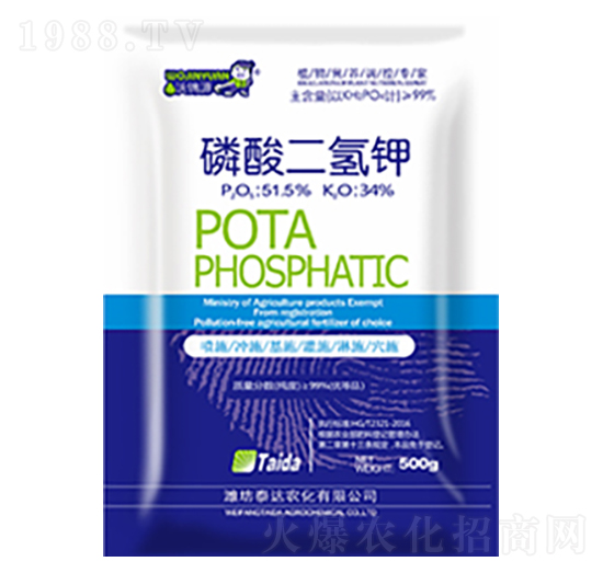 �������⛣�500g��-̩�_�r(n��ng)��