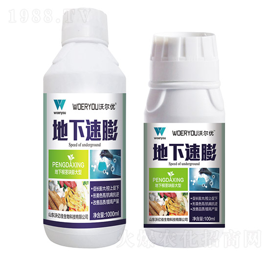 ��������-�֠���(y��u)