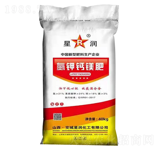 ����}�V��-�ǝ�����