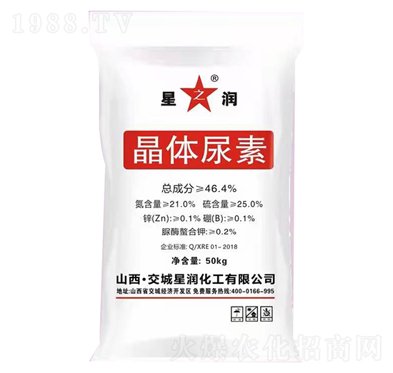 ���w����-�ǝ�(r��n)����