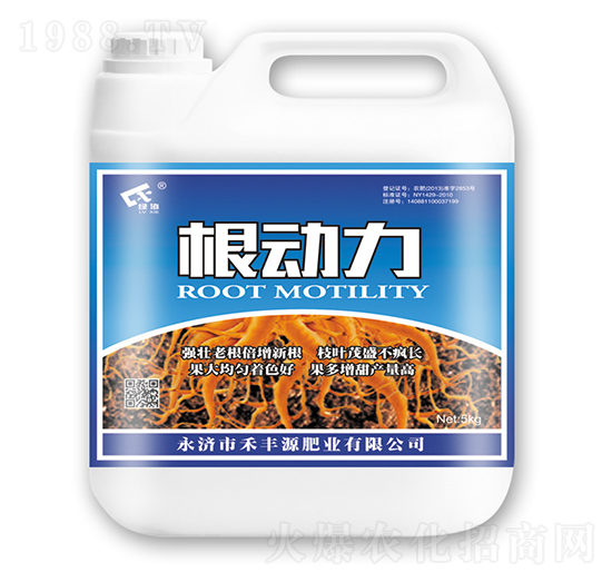 ������-���SԴ�ʘI(y��)