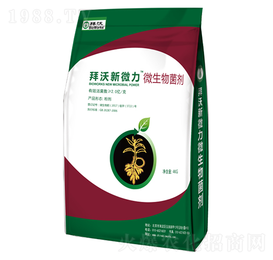 ��΢��΢�������-����