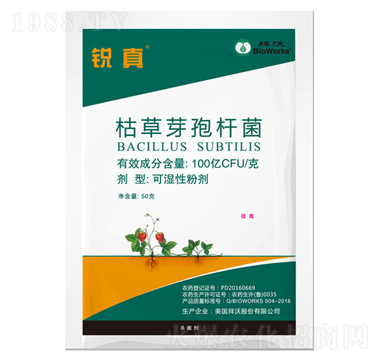 �J��ݲ�ѿ�ߗU�����~���ͣ�-����