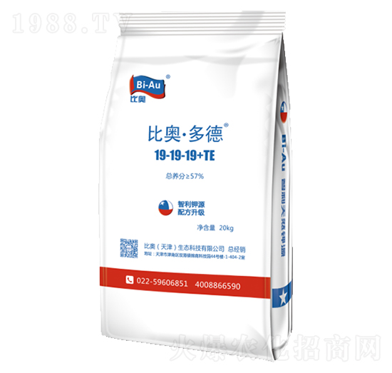 �ȊW�����19-19-19+TE-���r(n��ng)(li��n)��