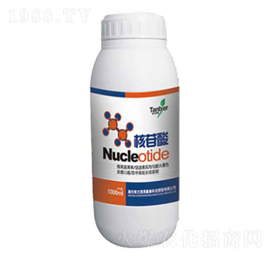 ������-�|������