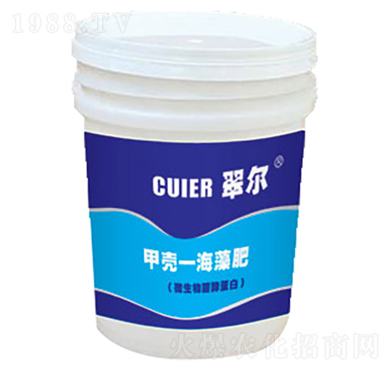 ΢������͵���-�ך�-�����-�|������