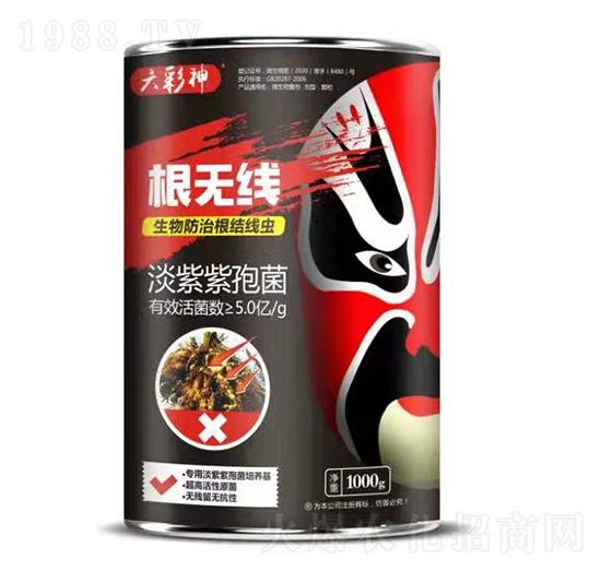 �������߾�-���o��-�f��