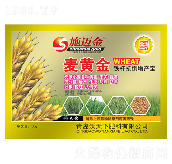 ���S���F�U�������a��-ʩ�~��-������