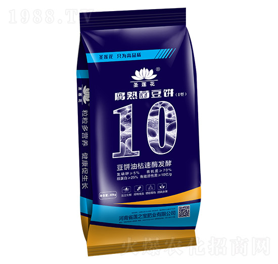 ��������-ɏ֥��