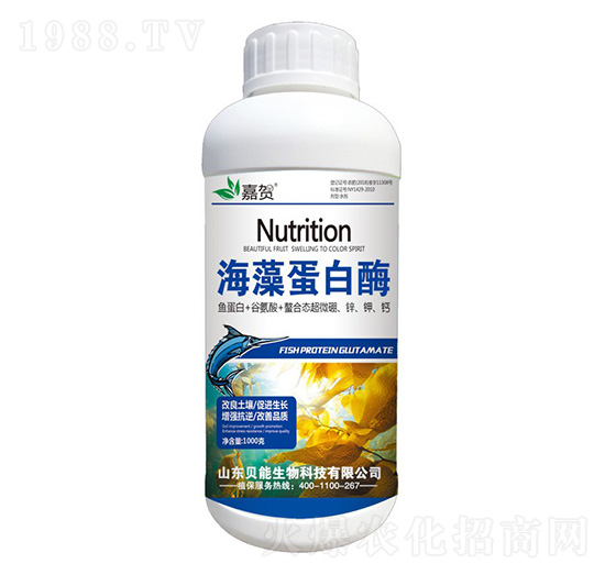 ���嵰��ø-ؐ������