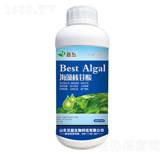 ���������-ؐ������